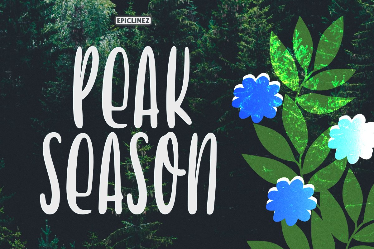 Peak Season - Display Font example image 1