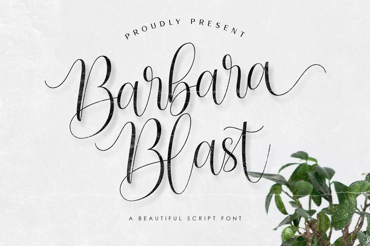 Barbara Blast || Beautiful Script Font example image 1