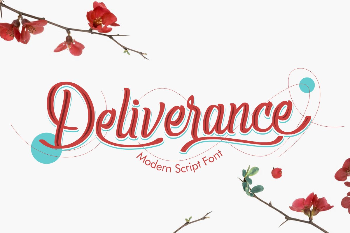 Deliverance | Modern Script Font example image 1