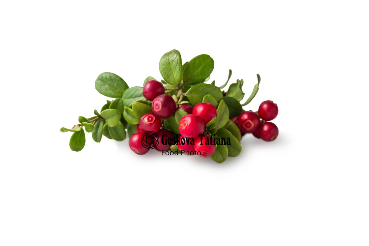 Photo of Cowberry foxberry, lingonberry with leaves isolated example image 1
