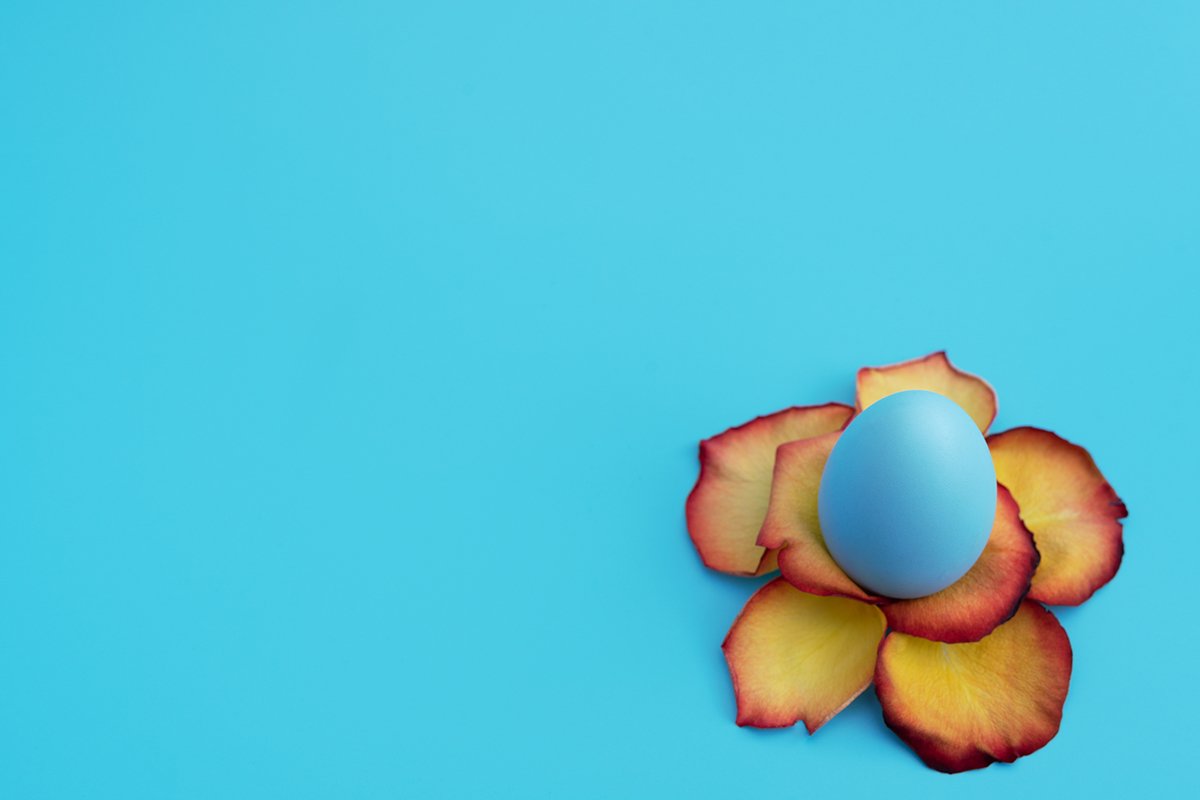 Blue Easter egg stands in yellow flower made of rose petals example image 1