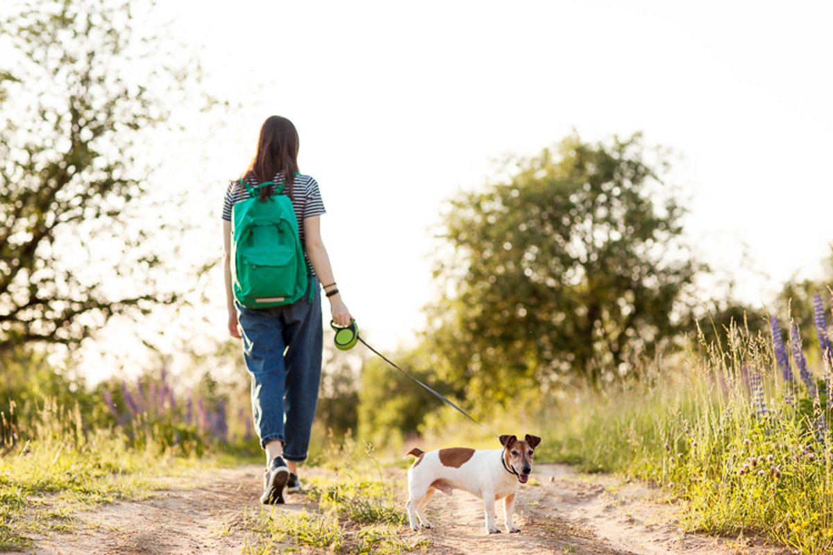 A girl walks with her dog on a country road. example image 1