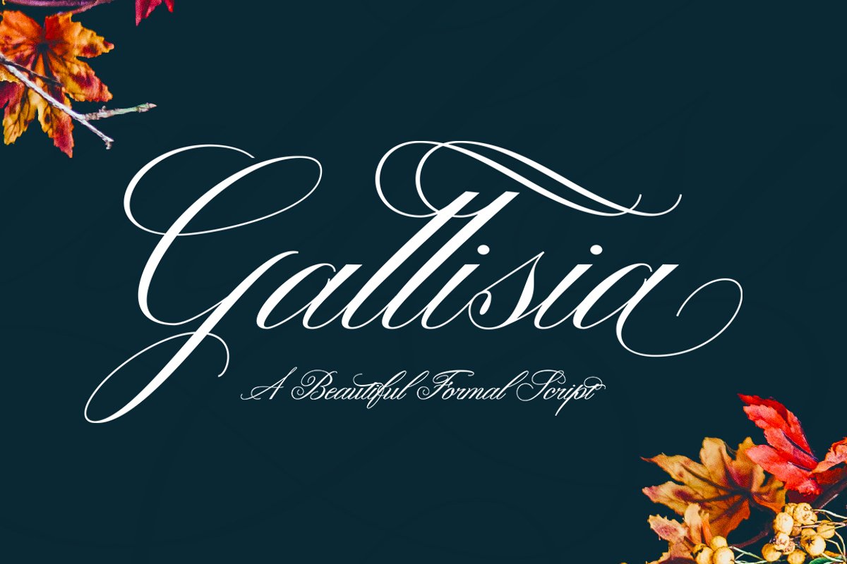 Gallisia Script example image 1