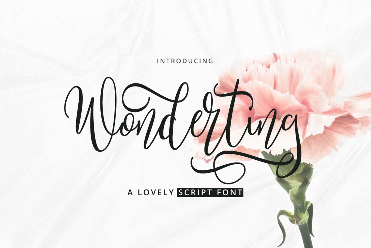Wonderting Script example image 1