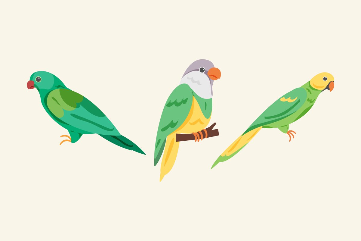Parrot Illustrations example image 1