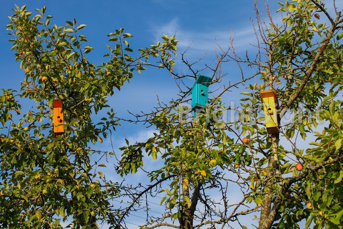 Colorful wooden birdhouses example image 1