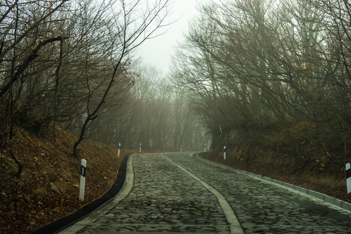 Road in the misty autumnal forest example image 1