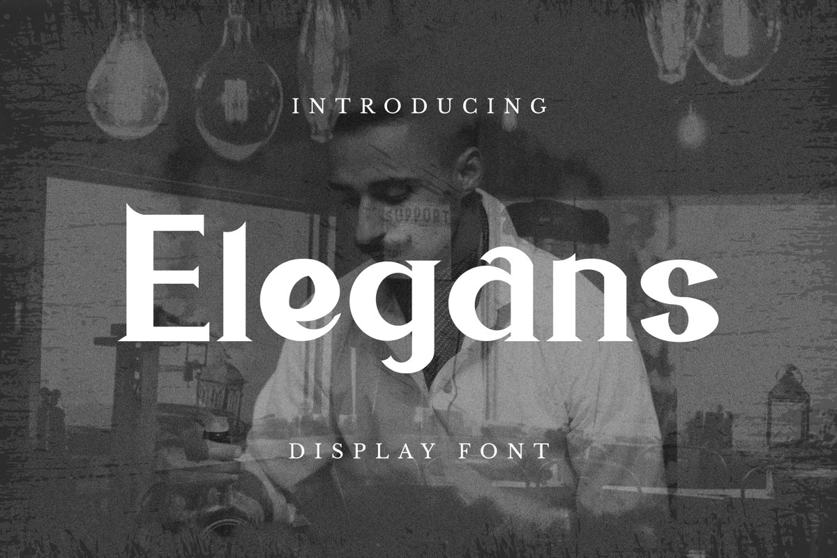 Elegans Font example image 1