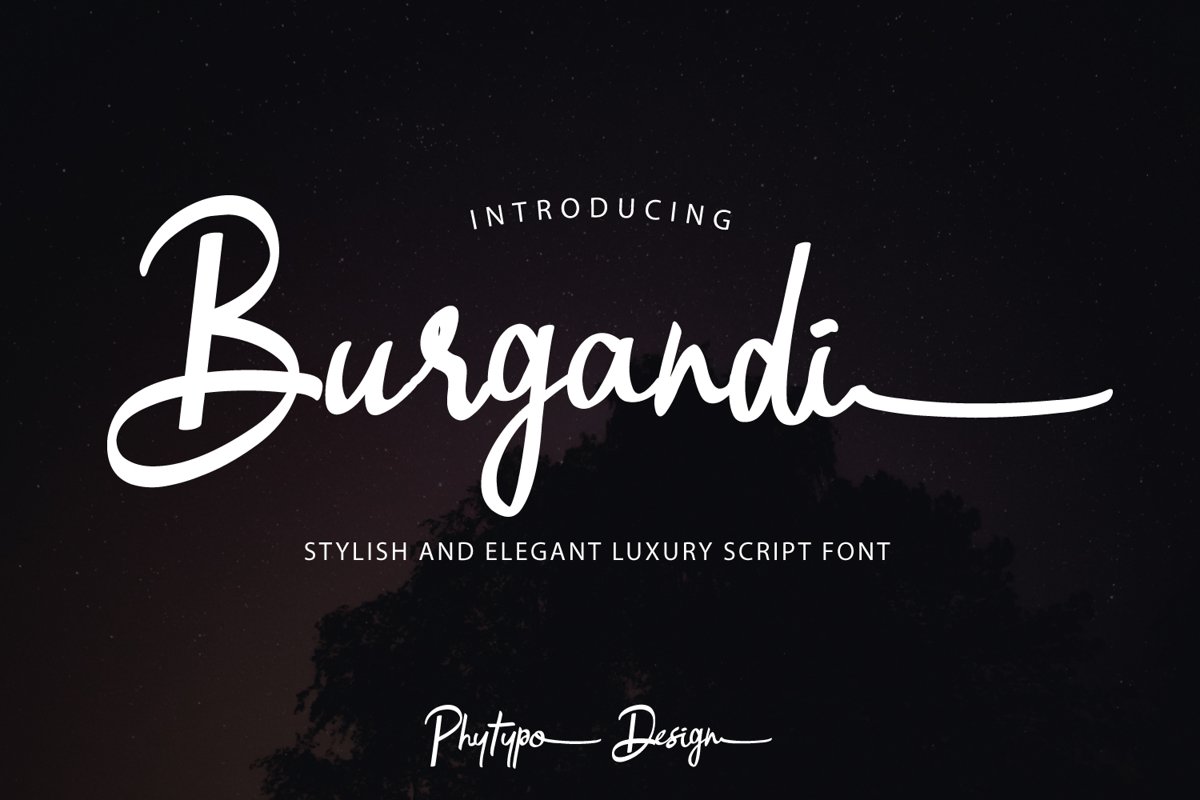Burgandi Font example image 1