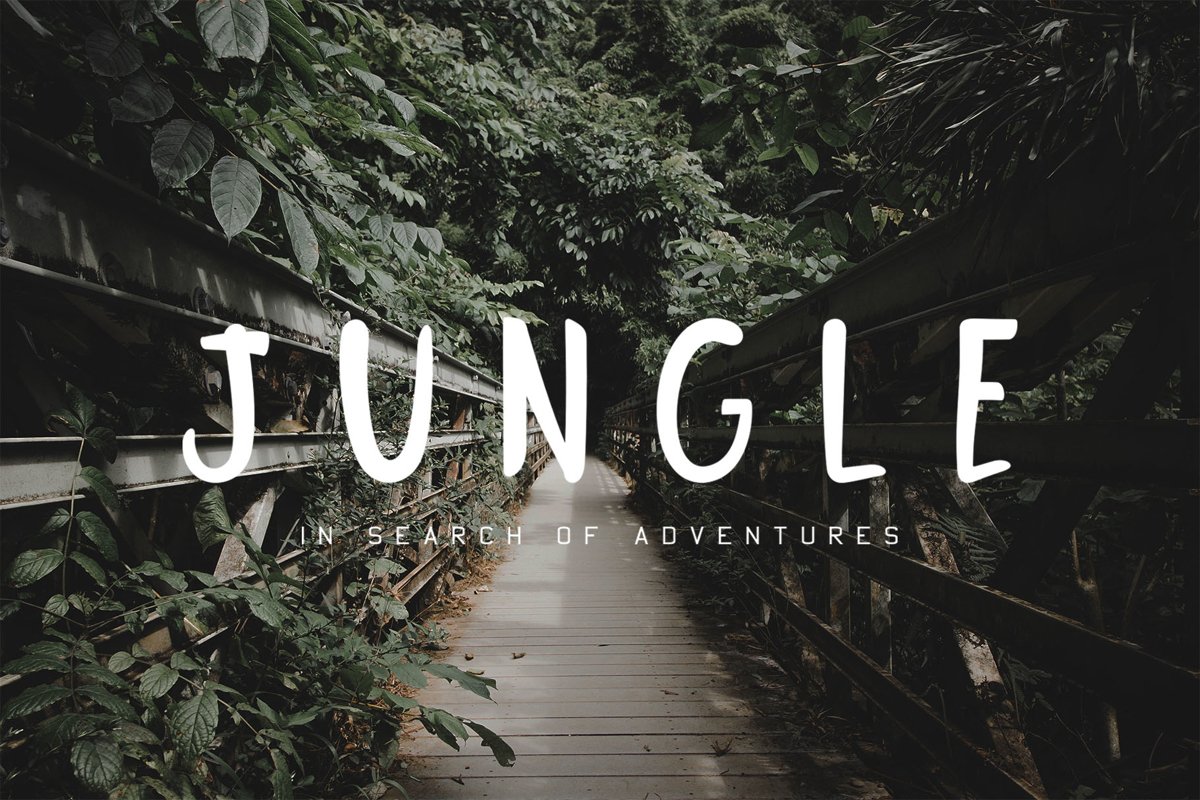 Jungle Display Font example image 1