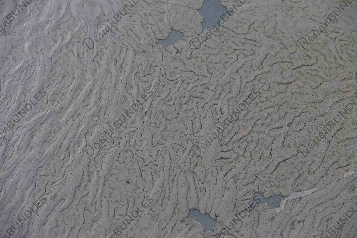 Stock Photo - Dry mud structure example image 1