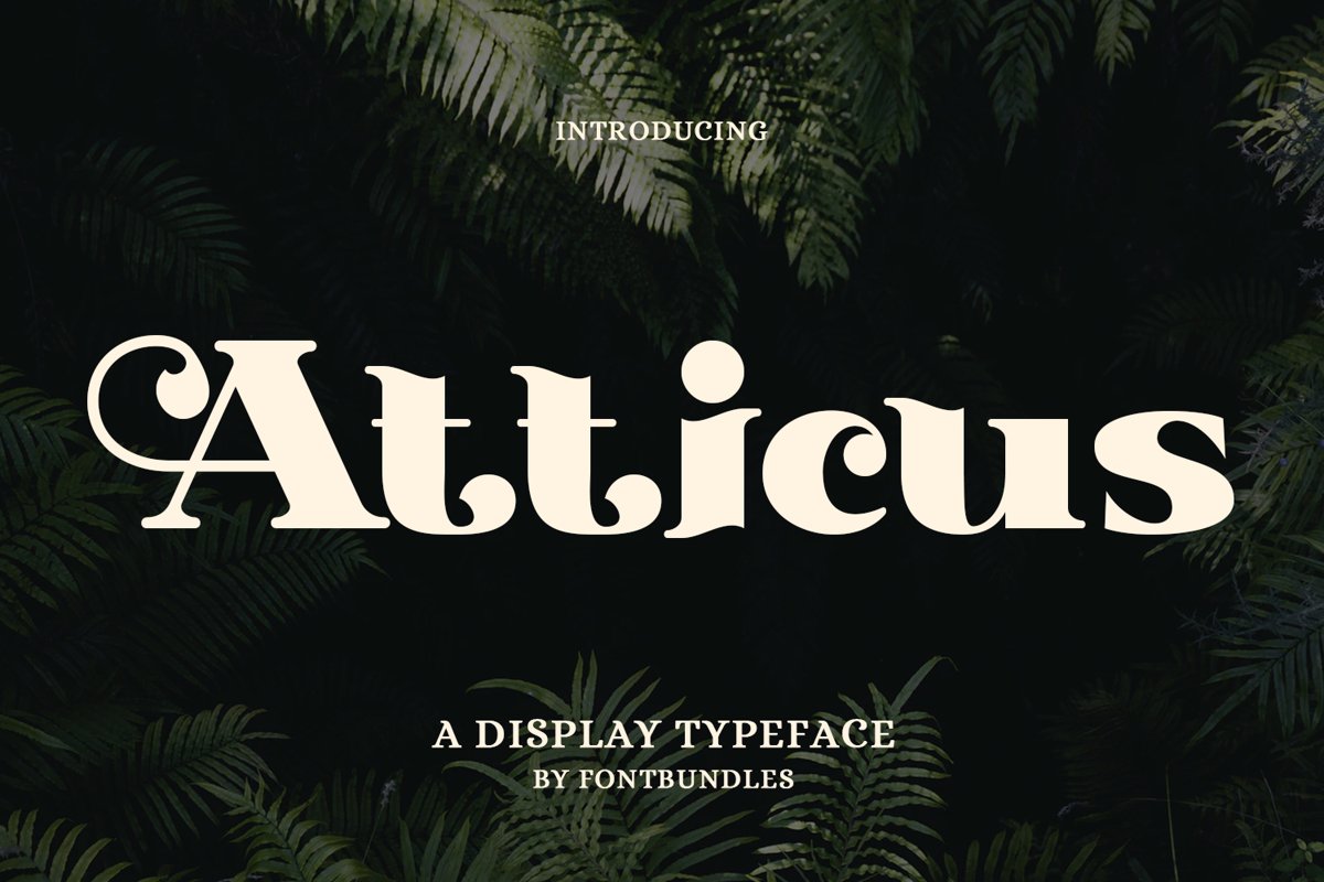 Atticus example image 1