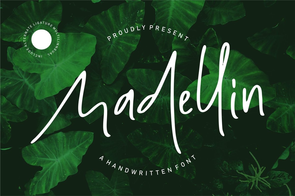 Madelin - Handwritten Font example image 1