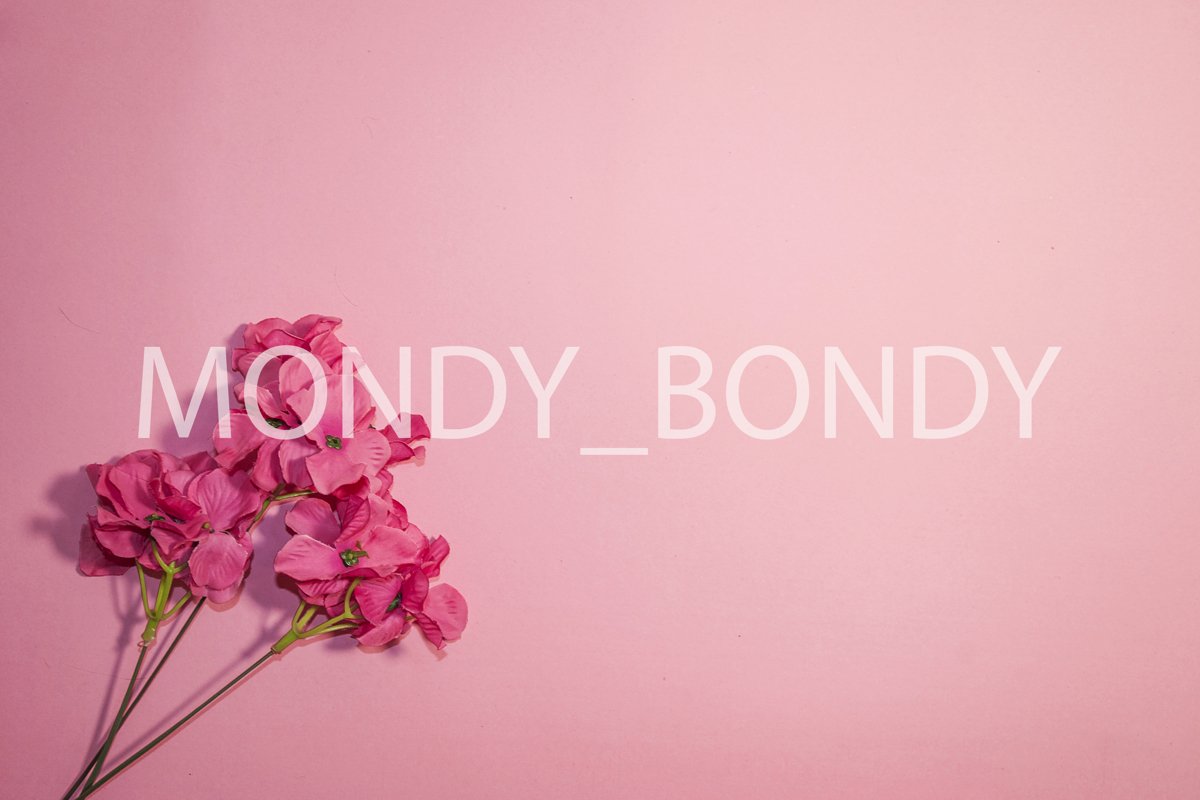 Festive background. Pink flowers on a pink background. Monoc example image 1