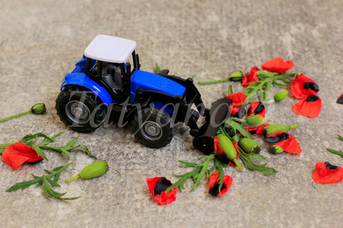 Toy tractor, excavator removing red poppies, corn poppy. example image 1