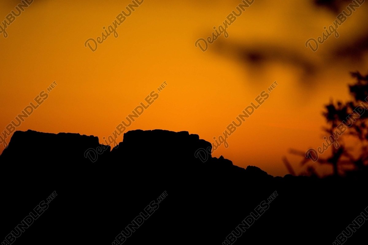 Stock Photo - The silhouette of trees at sunset example image 1