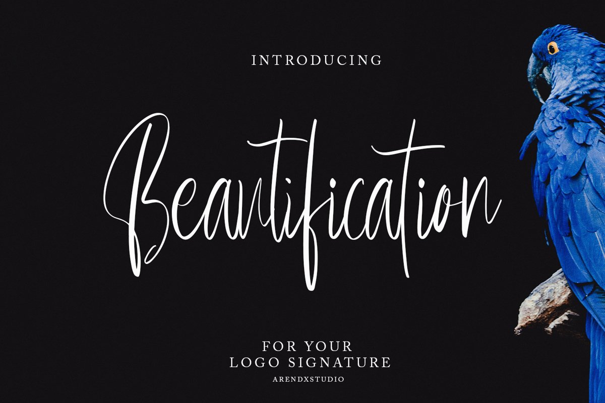 Beautification Signature Font example image 1