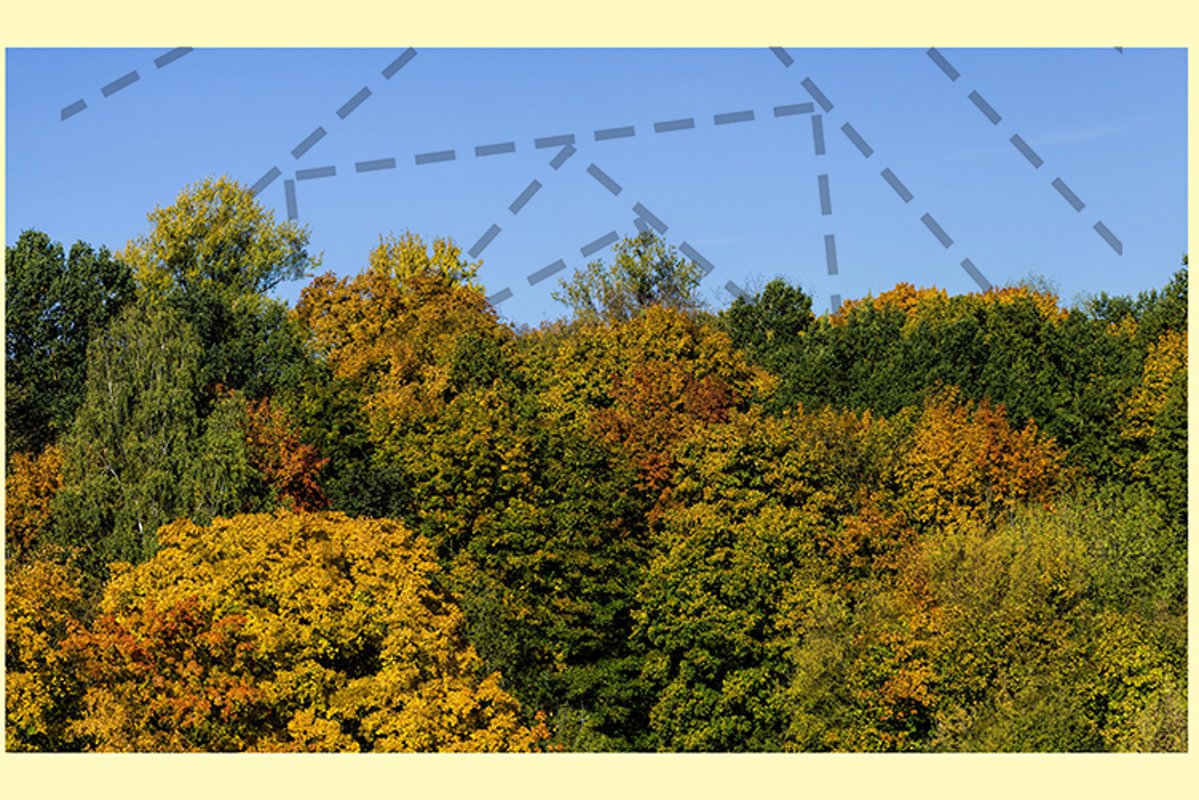 Autumn landscape example image 1