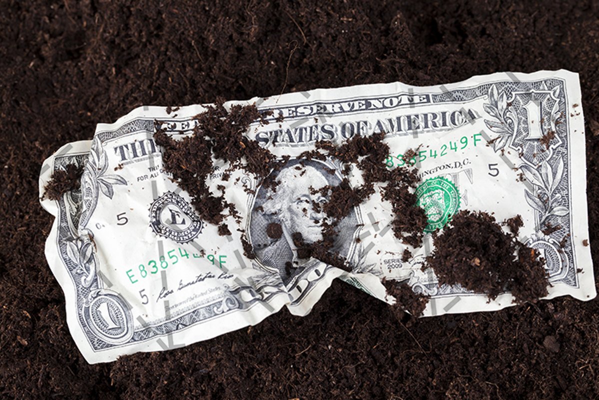 one american dollar example image 1
