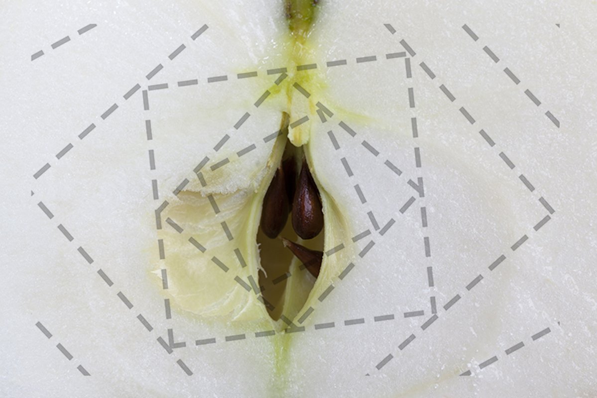apple core example image 1