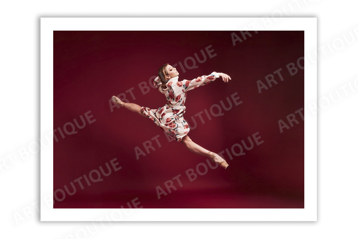 Ballet photo, Ballerina photo, dancer photo example image 1