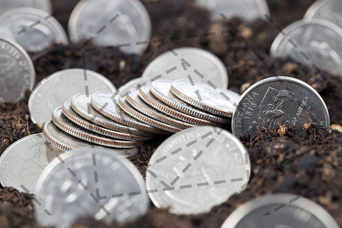 coin in soil example image 1