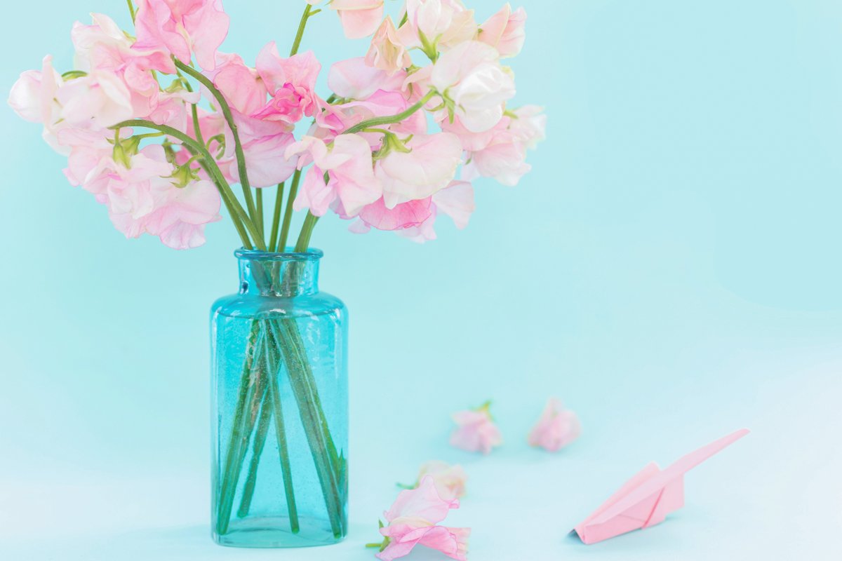 Pink sweet peas Lathyrus flowers in blue vase.Paper airplane example image 1