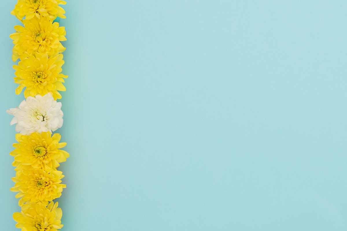 Yellow and white flowers on blue background. example image 1