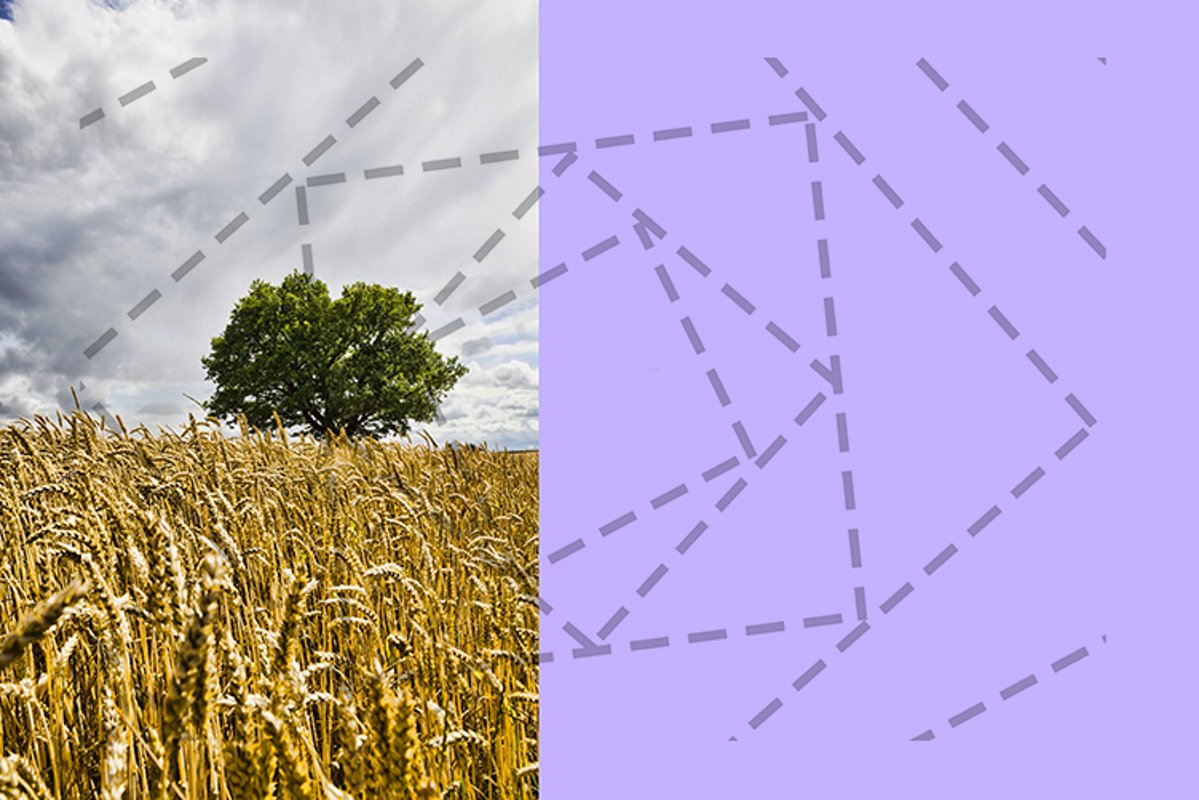 lonely oak example image 1
