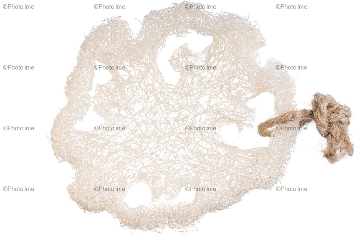 Loofah sponge close up isolated on white. Luffa sponge example image 1