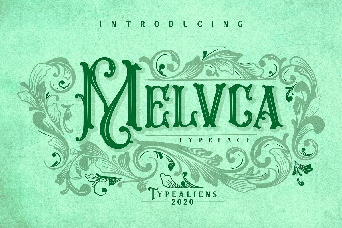 Melvca example image 1