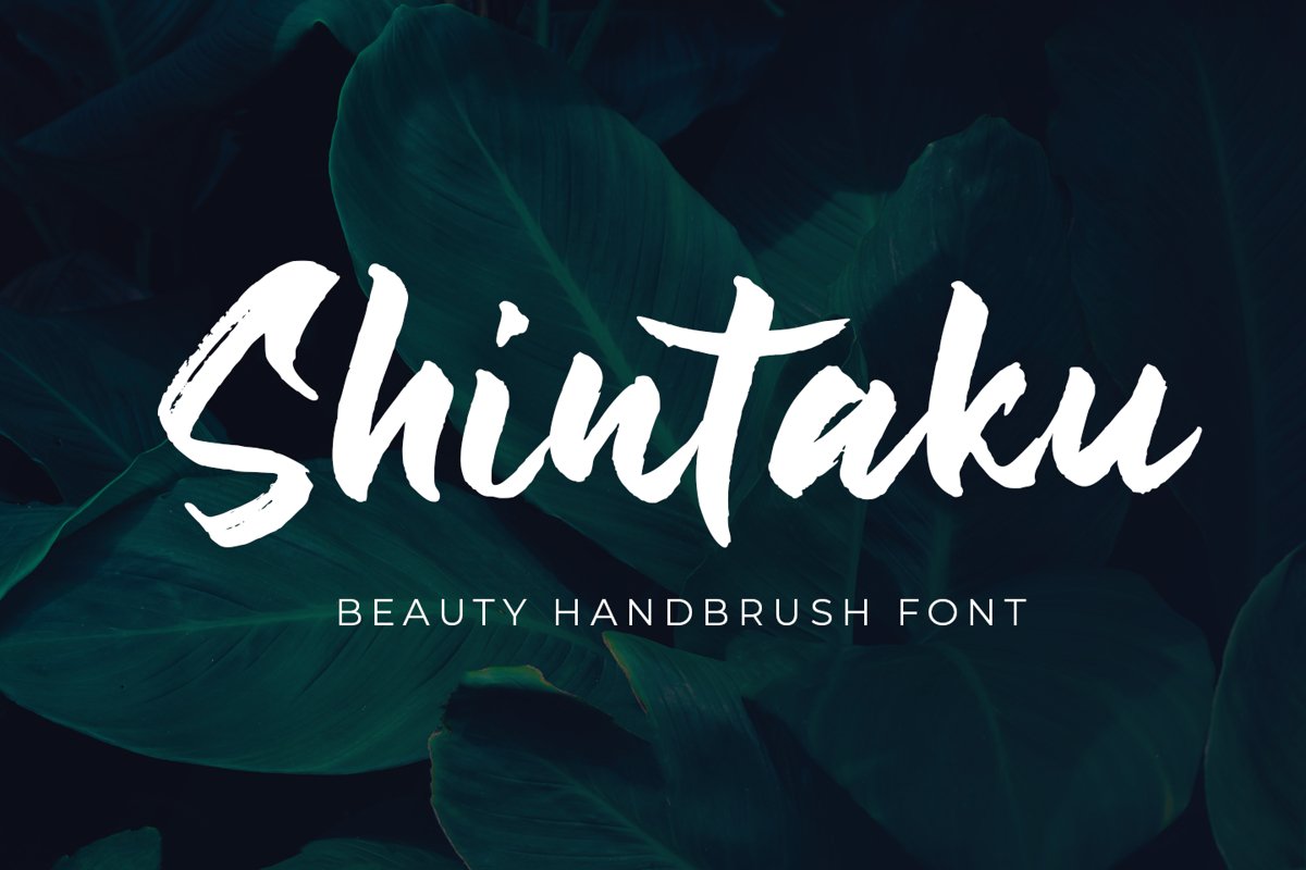 Shintaku - Handbrush Font - example image 1