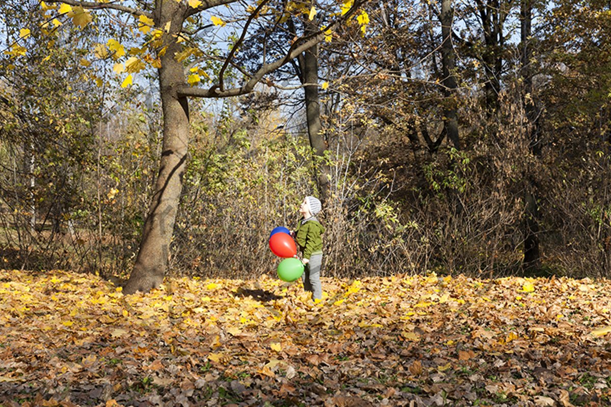 The boy in the park helium balloon example image 1