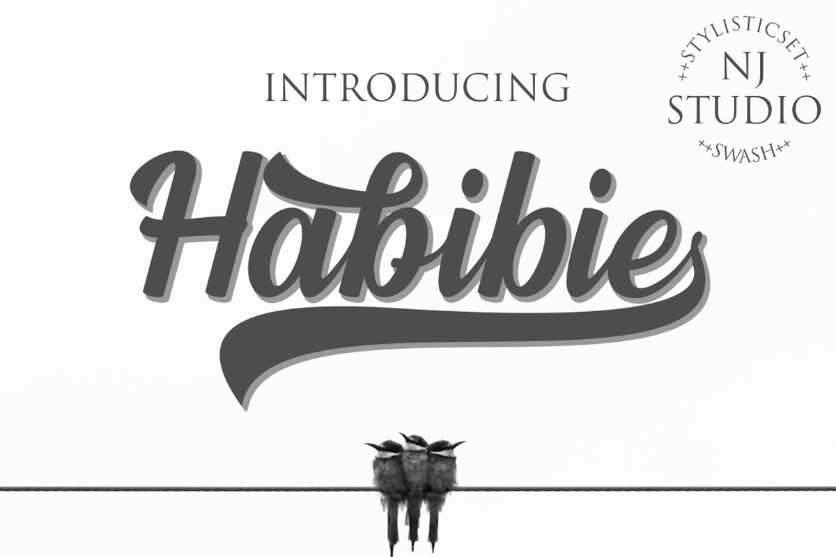 Habibie example image 1