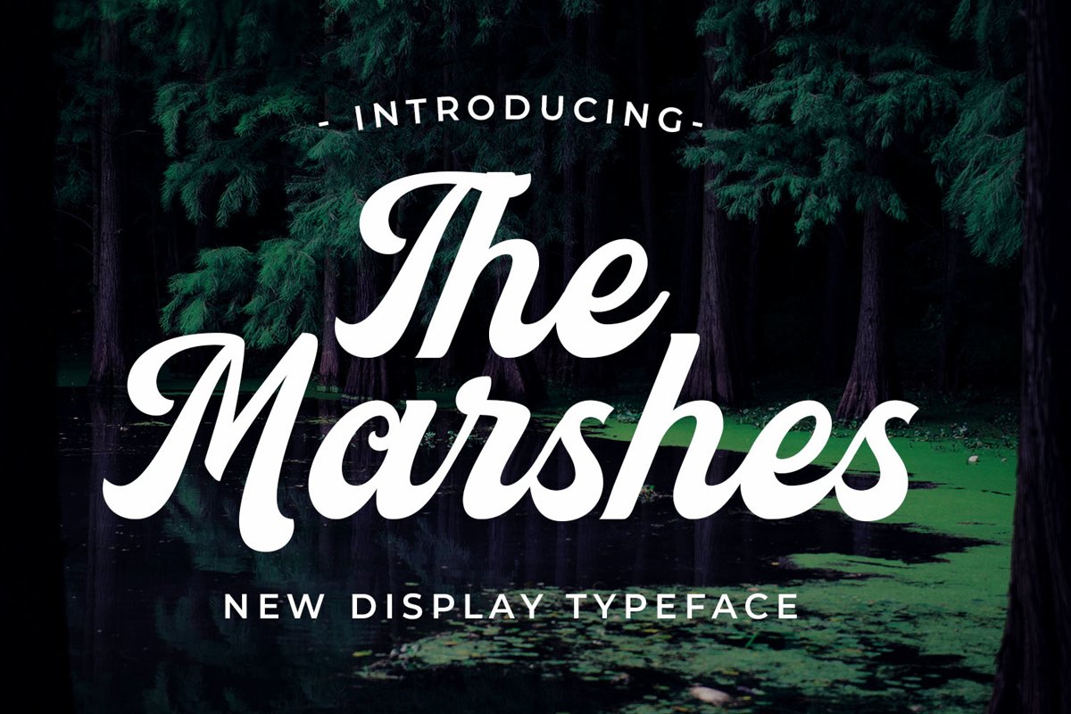 The Marshes example image 1
