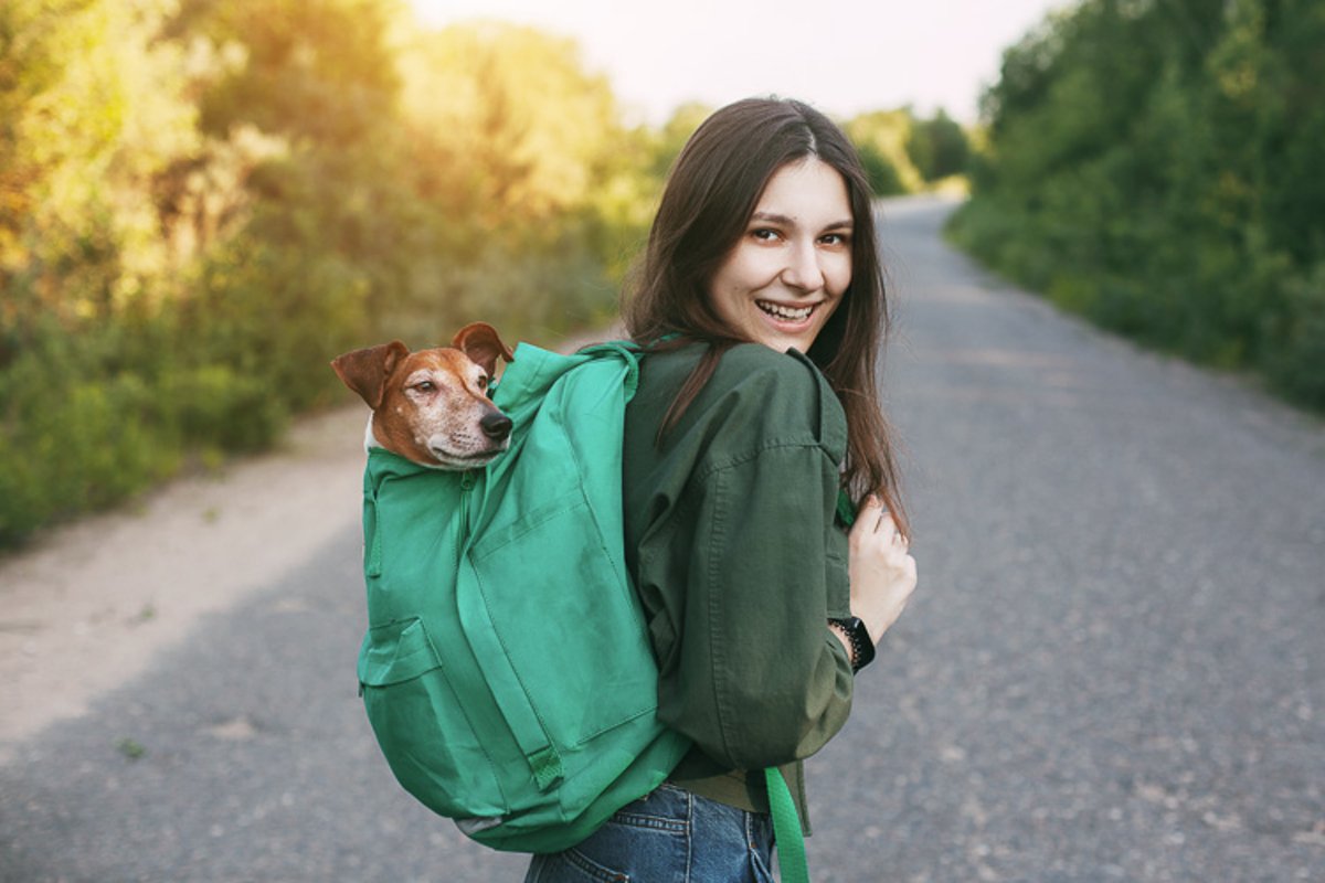 Girl holds with a backpack from which a cute dog peeks. example image 1