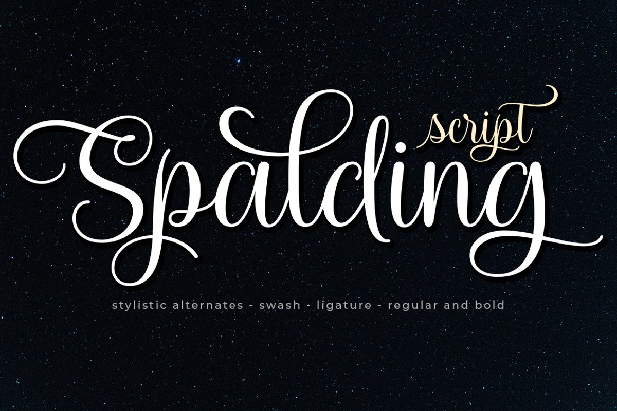 Spalding Script example image 1