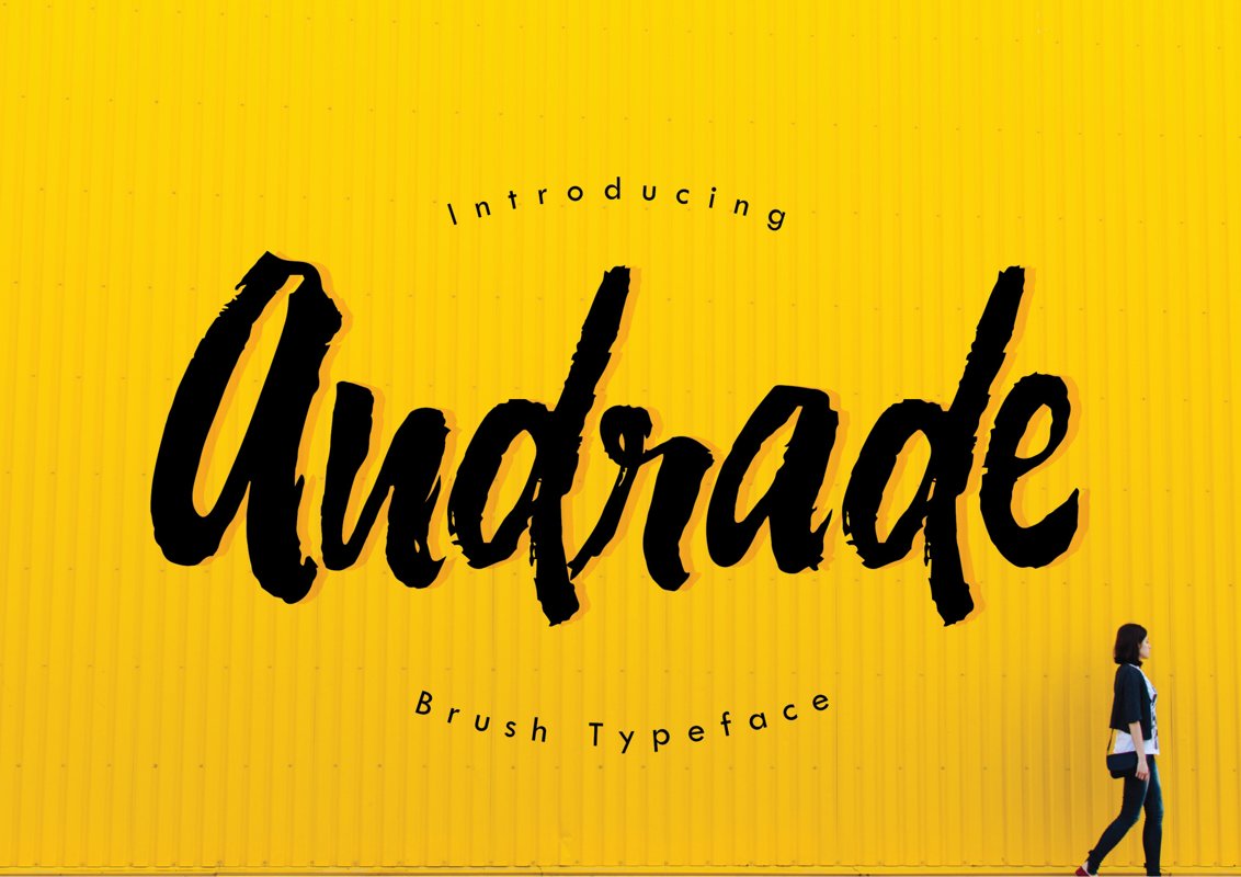 Andrade Typeface example image 1