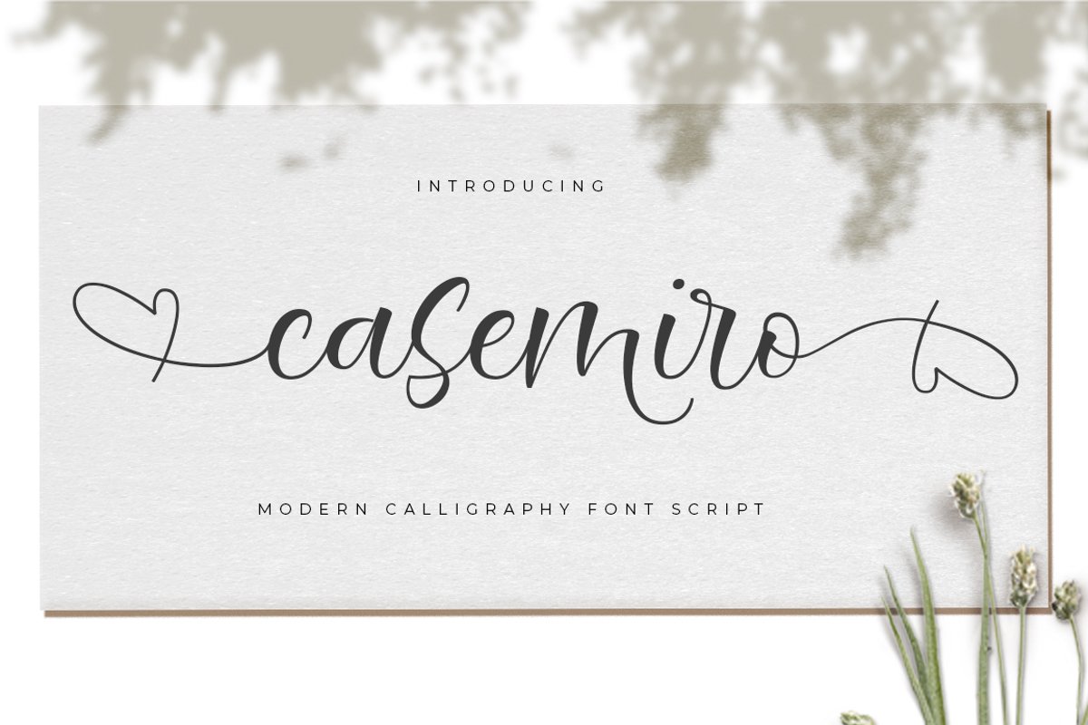 Casemiro Script example image 1