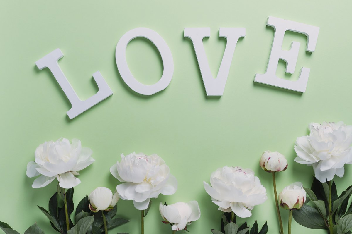 White elegant peony on the green background example image 1