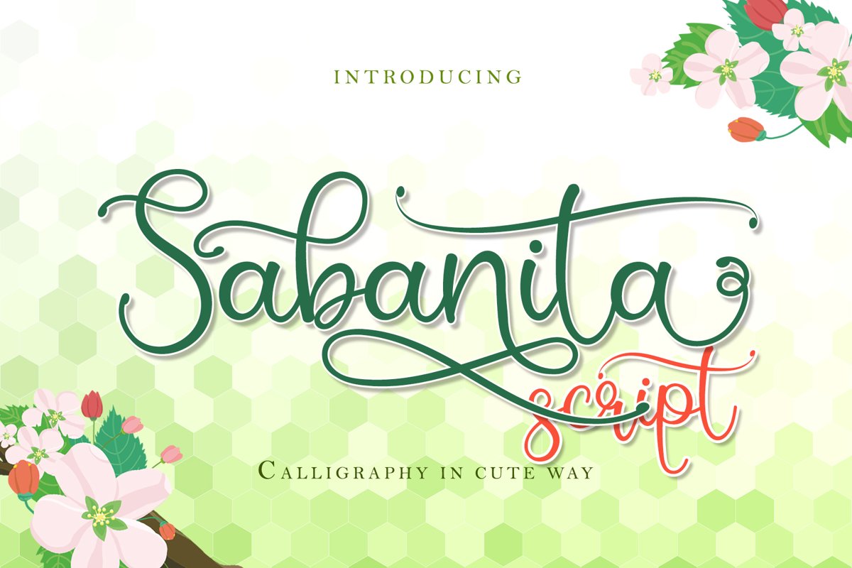 Sabanita example image 1