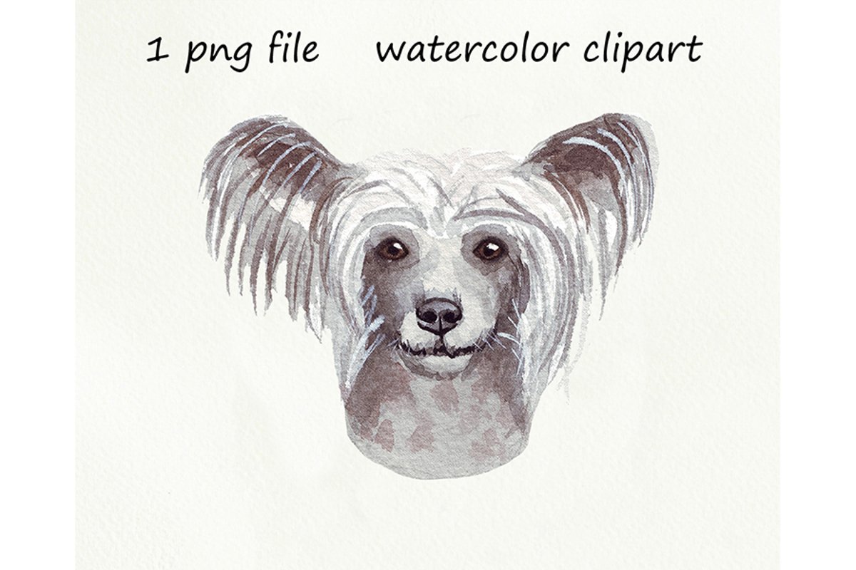 Watercolor dog png, Chinese Crested Dog, hand drawn example image 1