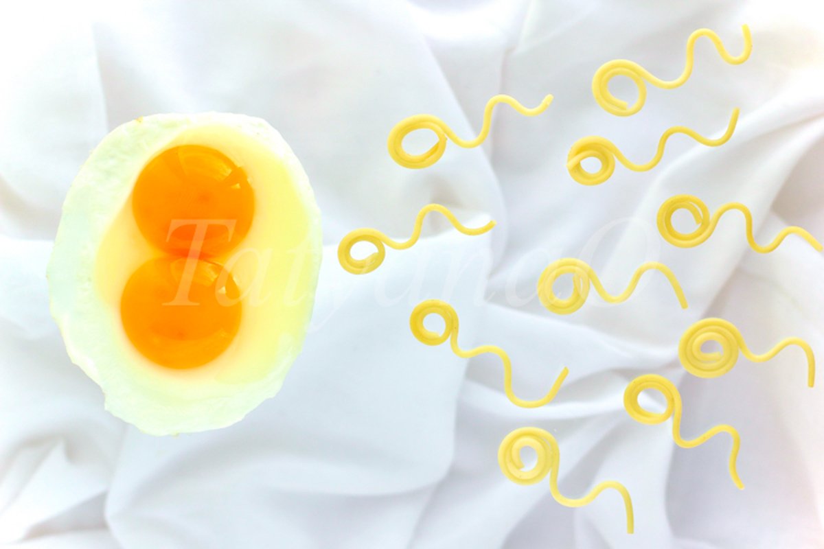 Trendy concept of fertilization, twins, Valentine's day example image 1