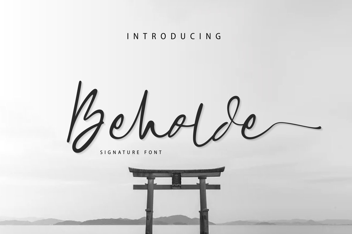 Beholde Signature Font example image 1