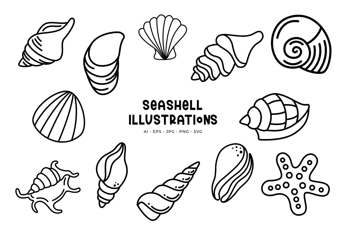 Seashell illustrations example image 1