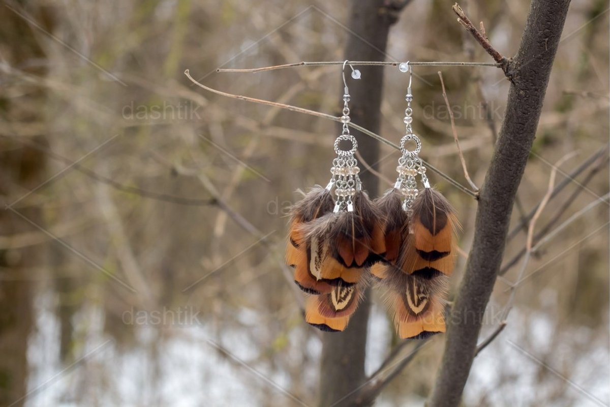 earrings of Dream catcher with feathers threads and beads example image 1