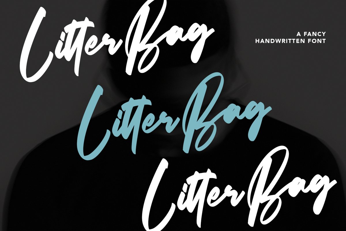 Litterbag - Fancy Script Font example image 1