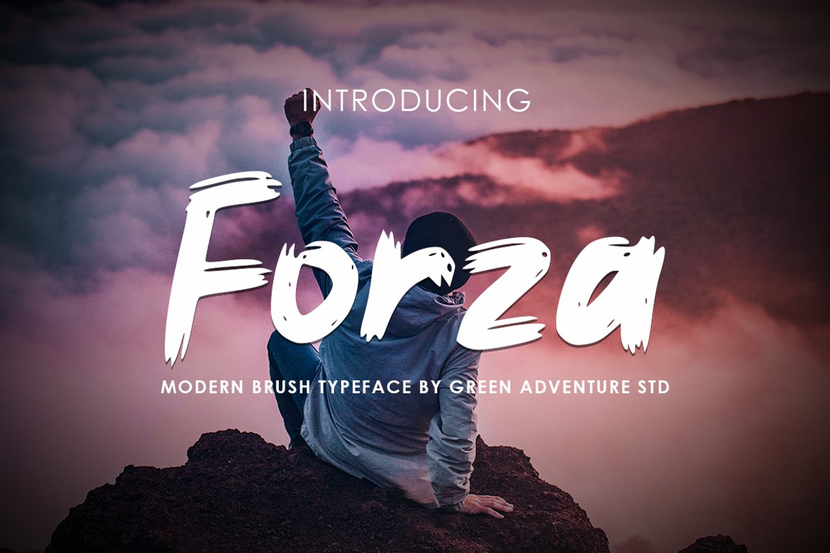 Forza - Brush Typeface Font example image 1