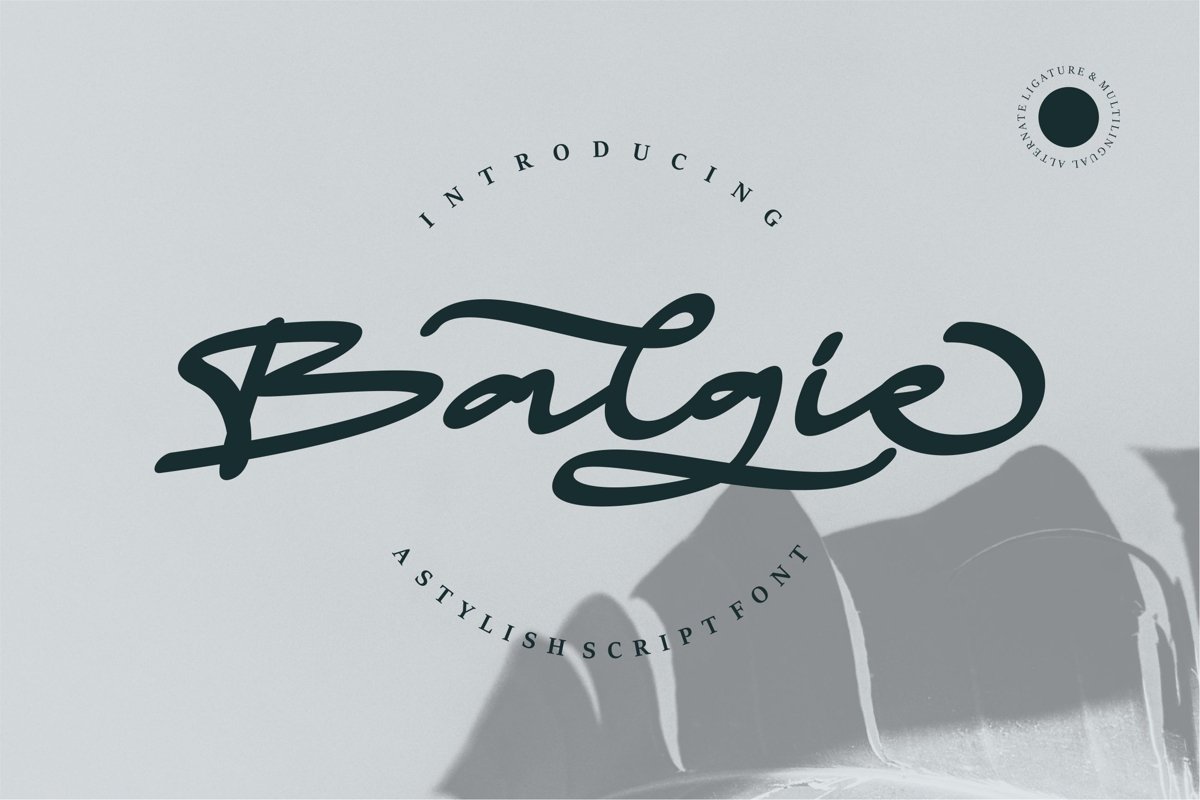 Balgie - A Stylish Script Font example image 1