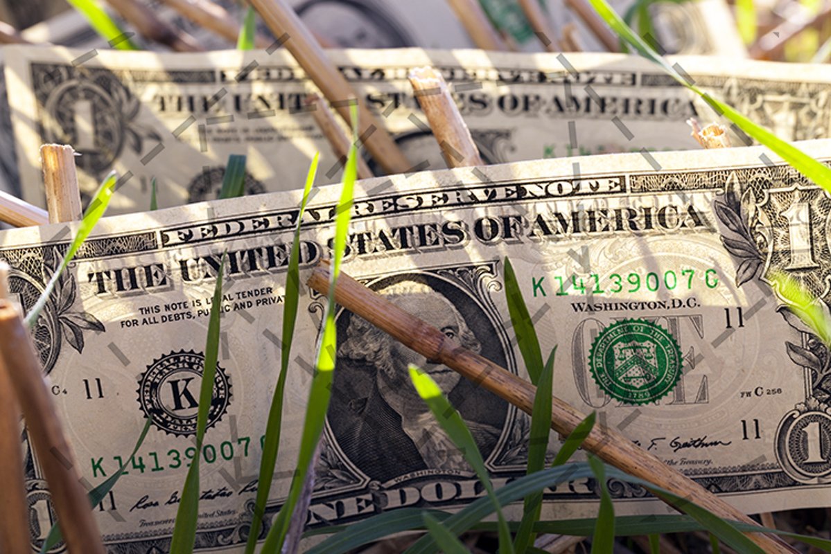 one dollar example image 1